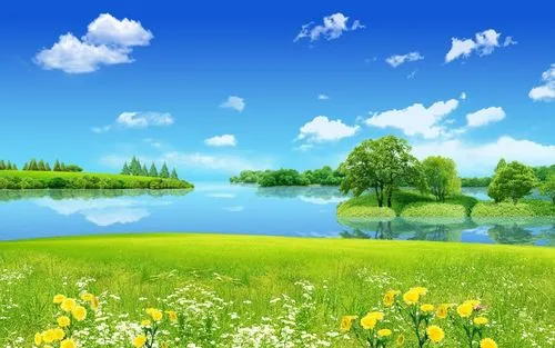 高精度节能全自动